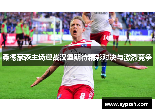 桑德豪森主场迎战汉堡期待精彩对决与激烈竞争