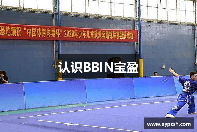认识BBIN宝盈